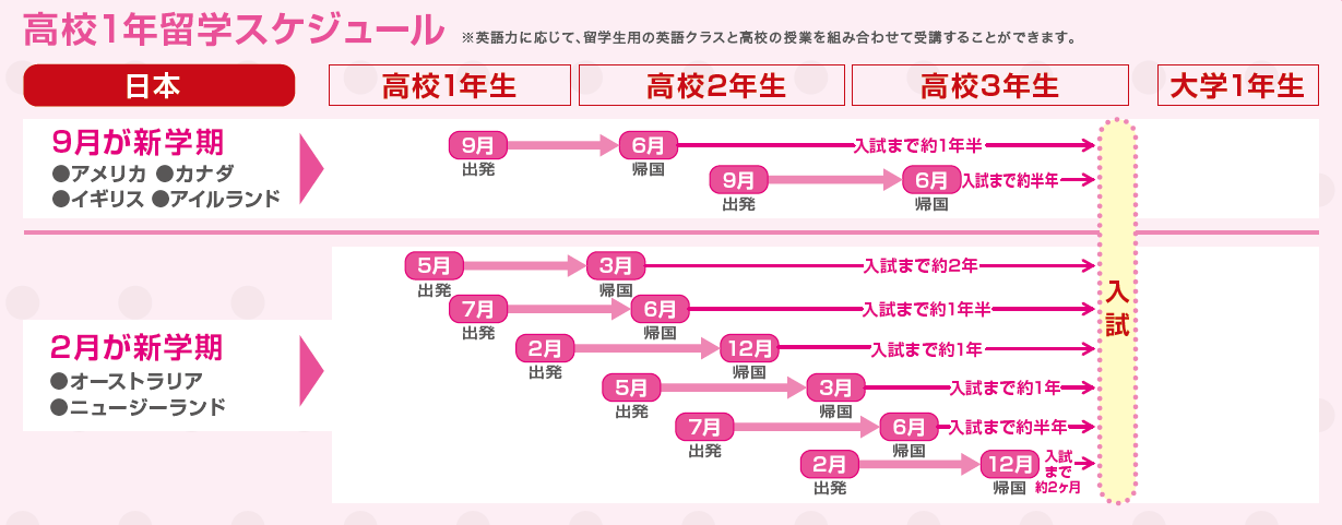 １年留学スケジュール